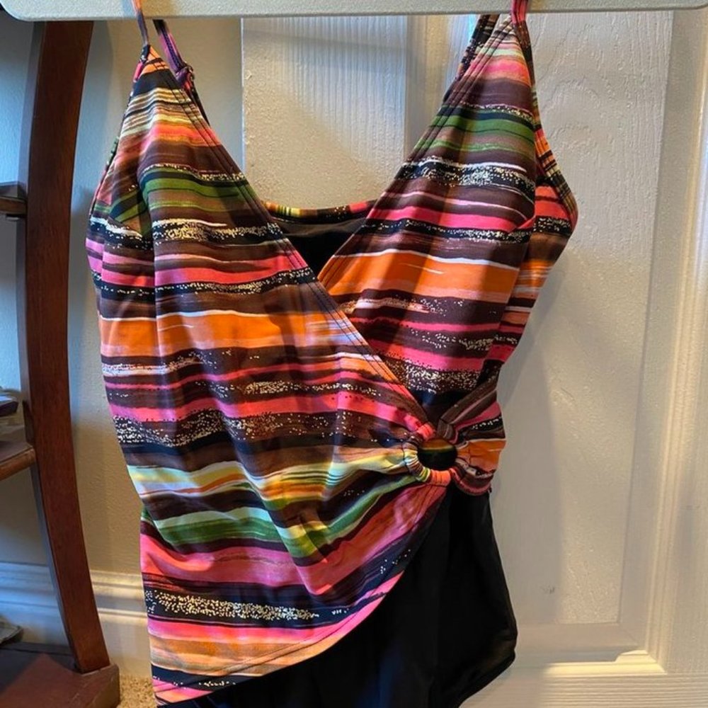 Christina Multi Color One Piece Swimsuit Size 14